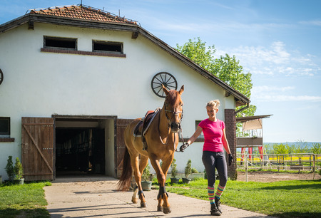 girl with a horse at a stable